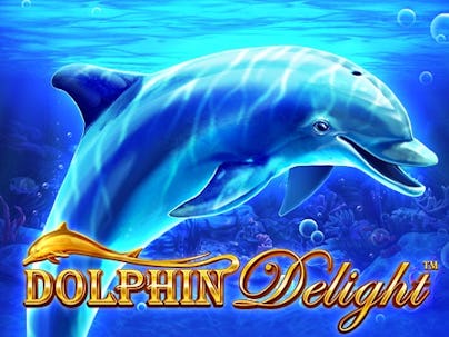 Dolphin Delight